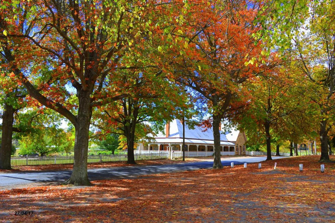 Settlers Motor Inn Tenterfield Εξωτερικό φωτογραφία
